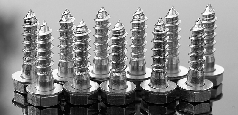 newsfD.jpg newsfD.jpg